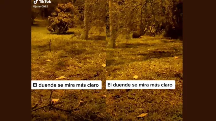 Duende es encontrado en parque 