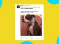 memes cancion bad bunny y grupo frontera (17).jpg