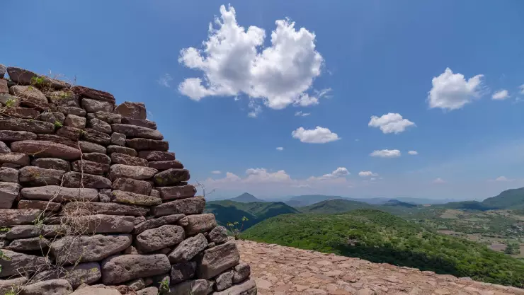 Especies de plantas que son endémicas de Morelos