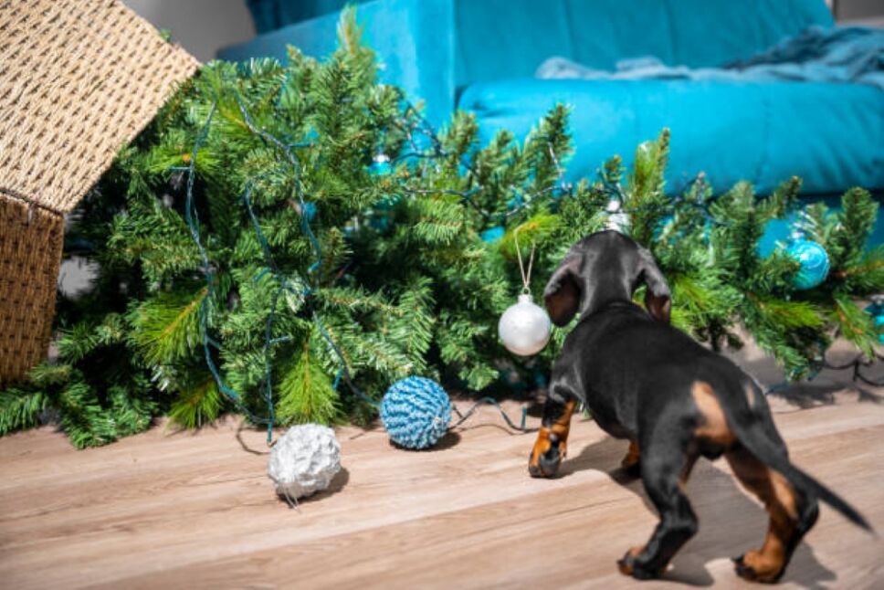 perrodestruyearboldenavidad.jpg