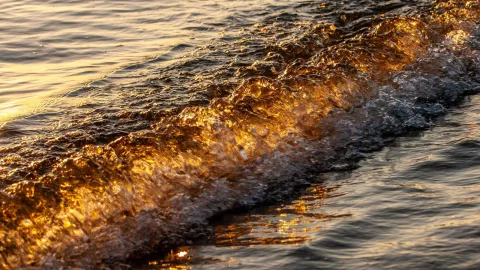 Captan en video a pareja haciendo el delicioso en una playa pública