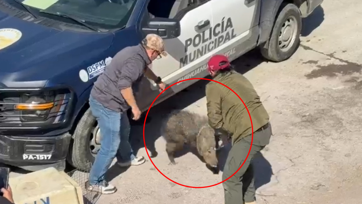 Proyecto nuevo (1).jpg