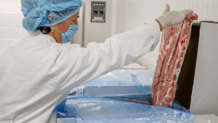 Llegan a México 93 toneladas de carne de cerdo de España