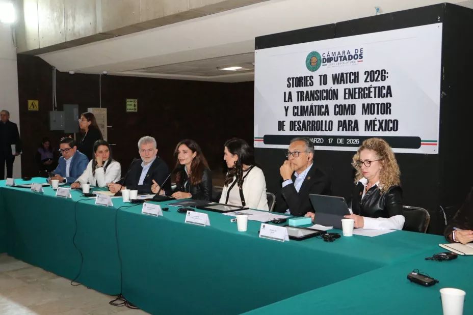 Cámara de Diputados 18 marzo 2026.jpg