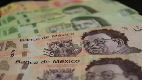 precios 2023 servicios