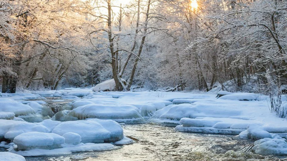 invierno 2018 estados unidos