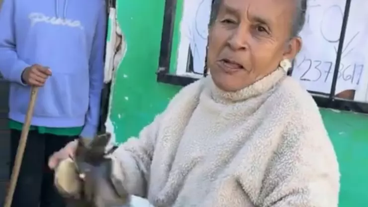 Conductor recibe tamalazo de abuelita en Tijuana; autoridades intervienen tras incidente
