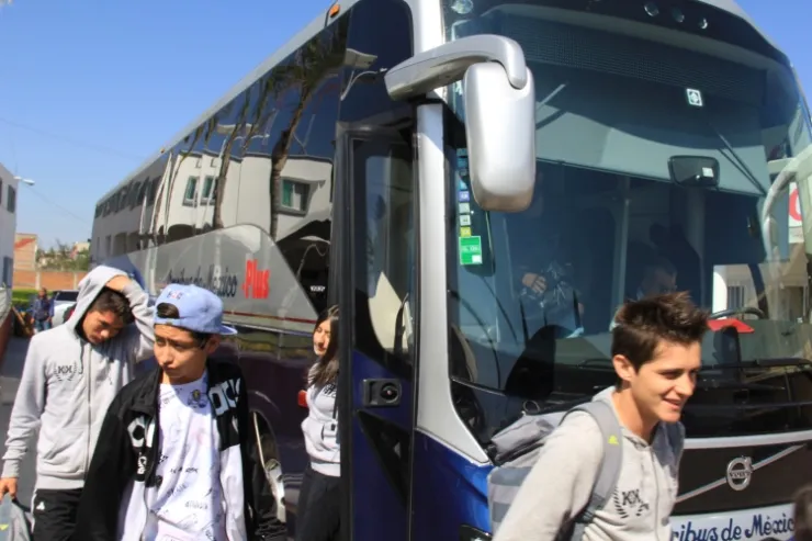 Omnibus