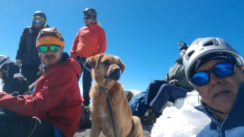 alpinista perro pico de orizaba