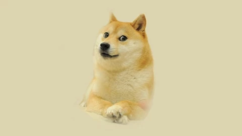 dogecoin logo.jpg