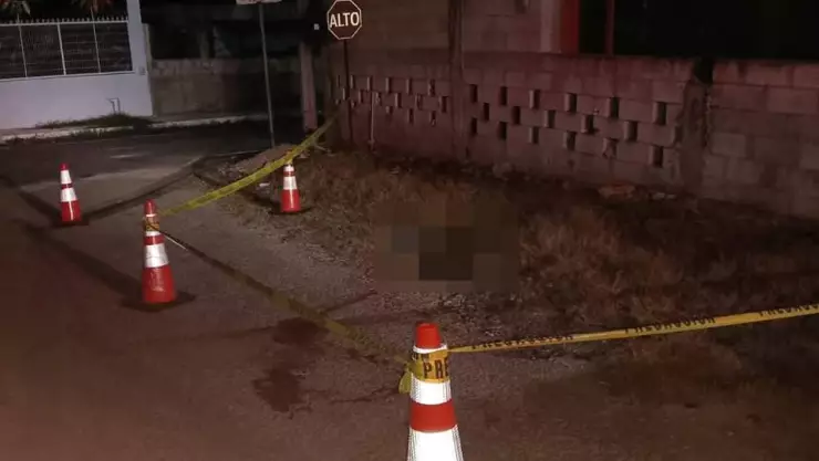 Maltrato animal_ Hombre habría golpeado a un perrito hasta la muerte en Ticul