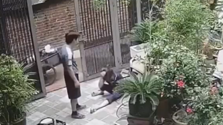 golpeador