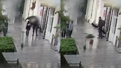 Un perro le cae a una mujer tras saltar de una ventana durante una tormenta