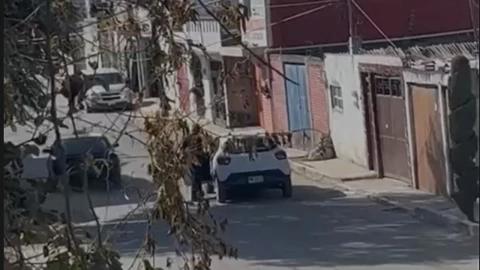 Sujeto abandonó perrito en Guadalupe Hidalgo