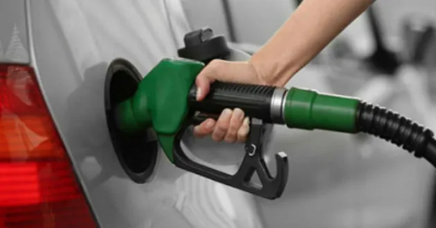 gasolina