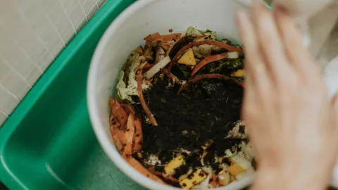 Beneficios y utilidades que debes saber sobre la Borra de Café para plantas y jardín