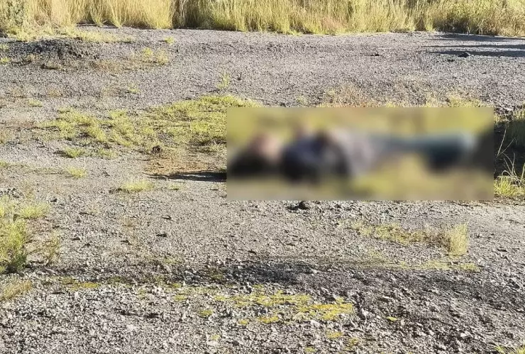 Joven hallado muerto en autopista de Veracruz