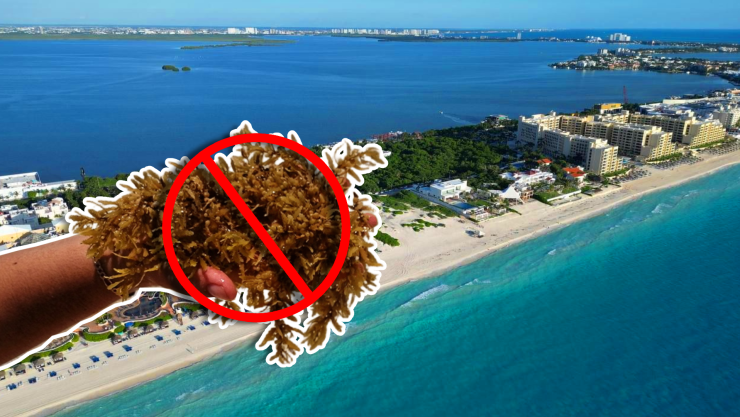 Playas sin sargazo en Cancún y todo Quintana Roo HOY 5 de abril de 2026_ Aquí la lista COMPLETA.webp