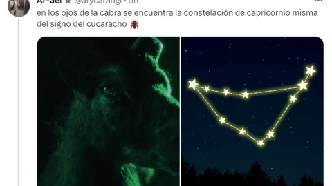 ¡¿Brujería a Christian Nodal?! El posible significado de Cactus, nueva canción de Belinda