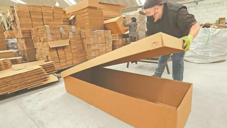 ataudes carton.jpg