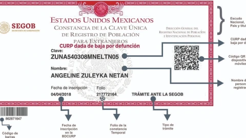 CURP dada de baja por defunción