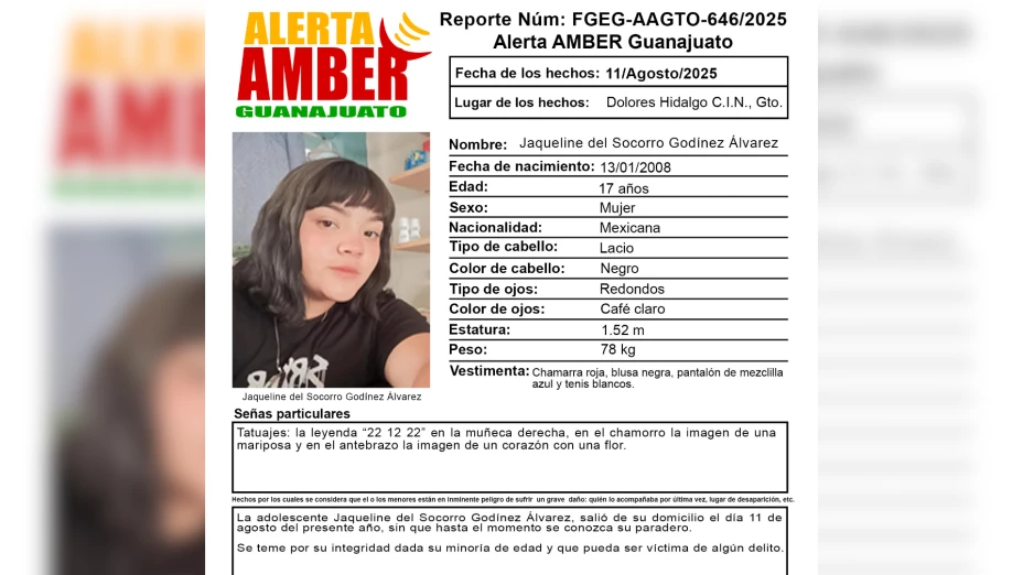 Desaparecidos Guanajuato ¿Quién es Socorro Godínez Álvarez y qué se sabe de su desaparición en Dolores Hidalgo.png