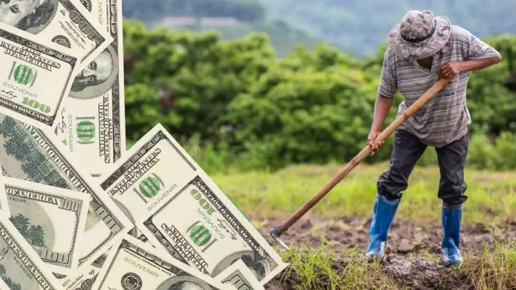 agricultor