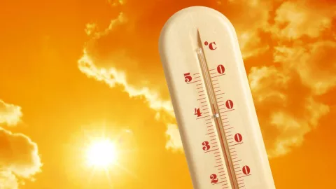 ola de calor en México.jpg