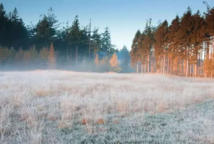 Frente frío 25 provoca riesgo de heladas en Puebla este 1 de enero de 2026