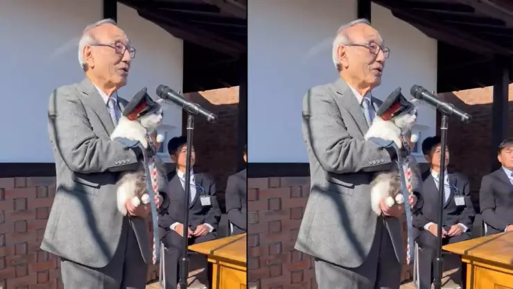 Gatito conmemorado en Japón