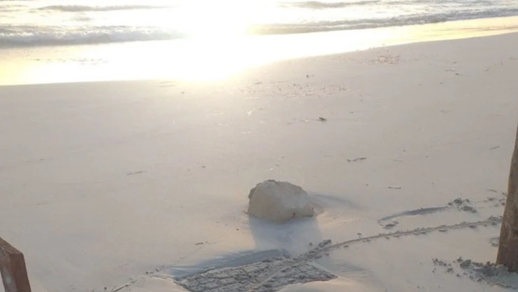 niños_migrantes_playa_Libia.jpg