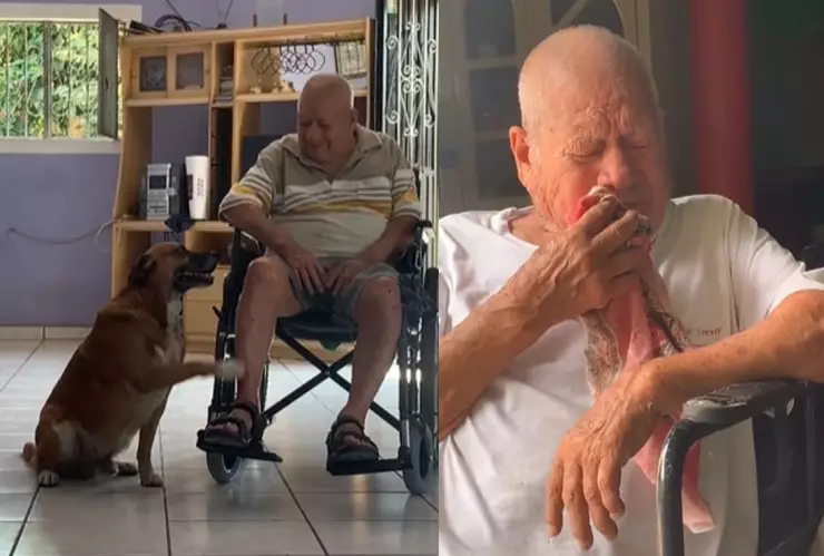 Abuelito llora por perro fallecido.