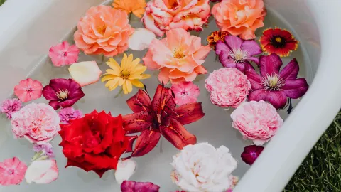 Estos son los beneficios de los baños de flores en cada inicio de la temporada