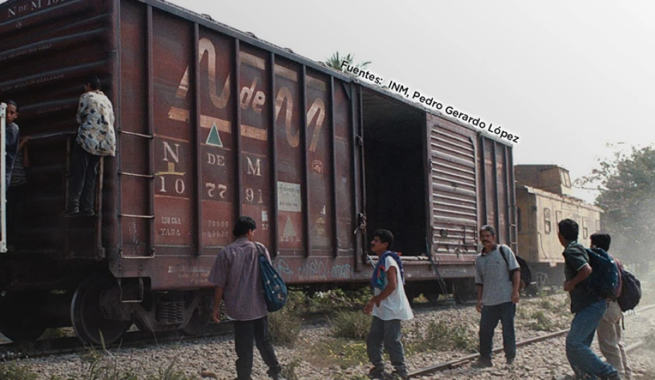 migración