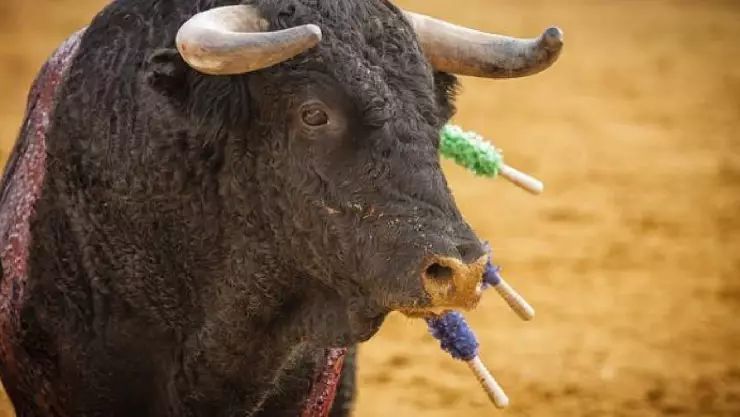 Suprema Corte aprueba regresar las corridas de toros en la CDMX