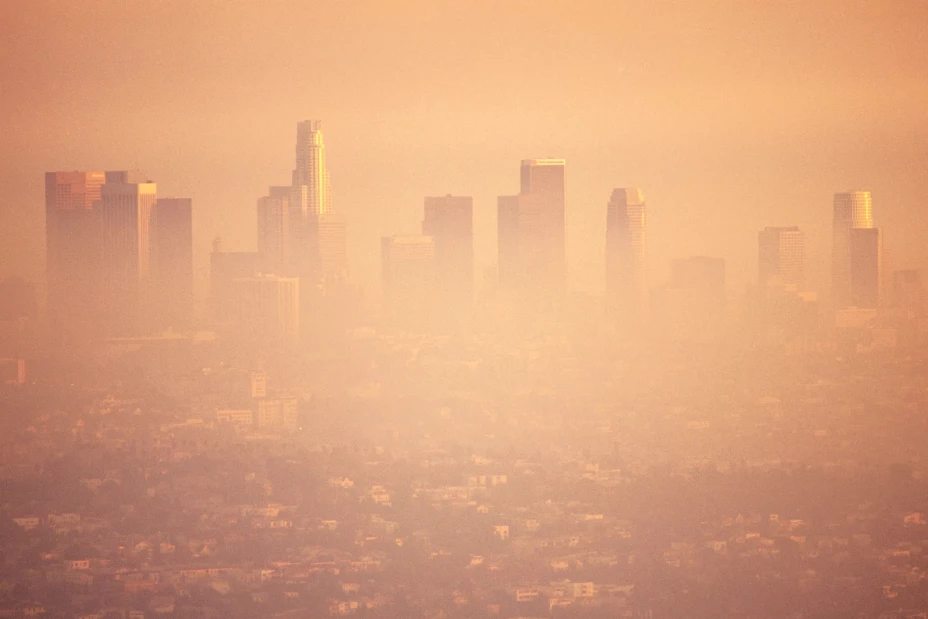 unnamed - 2026-01-06T113020.188.jpg