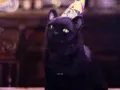 salem-saberhagen-sabrina-la-bruja-adolescente