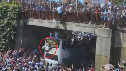 festejos seleccion argentina