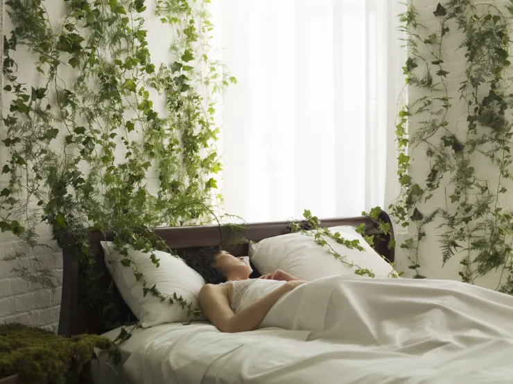 dormir con plantas cerca