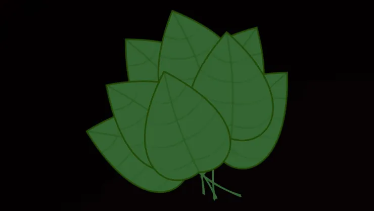 /estilo-de-vida/como-hacer-ritual-albahaca-atraer-abundancia