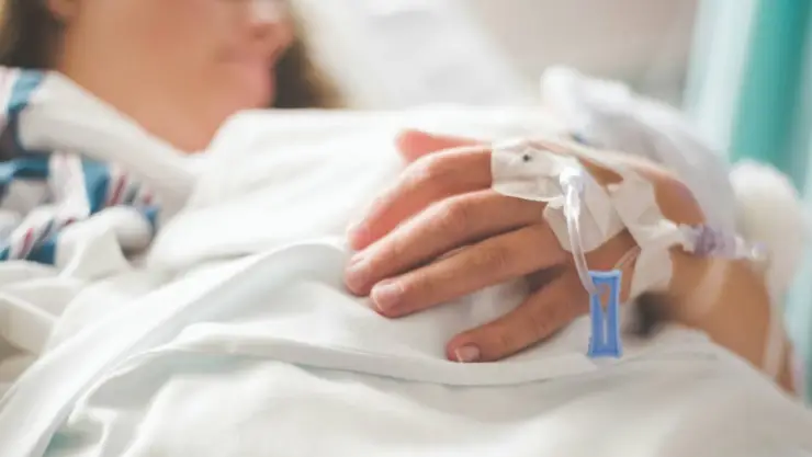 bacteria Vibrio vulnificus