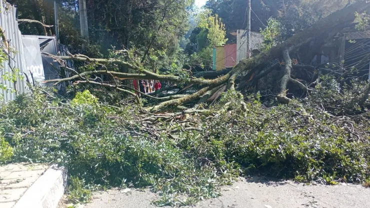 Doble alerta por fuertes vientos en la CDMX