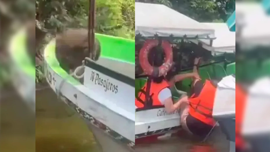 VIDEO_ Mono desata caos en lancha turística de Catemaco y tira a visitante al agua.jpg