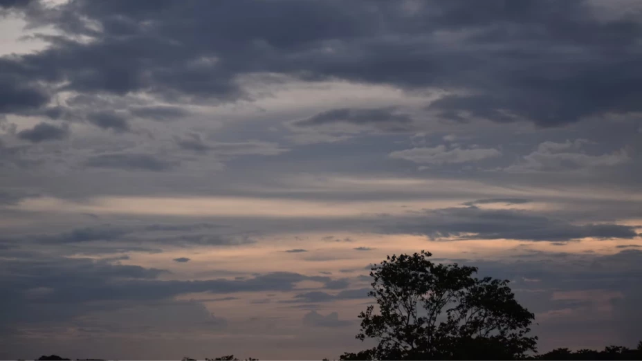 Clima en Michoacán.png