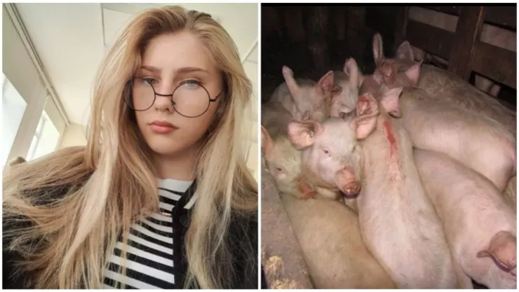 joven-muere-tras-ataque-en-una-granja-con-cerdos-en-rusia