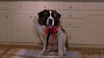 ¿Qué pasó con la actriz Sarah Rose Karr? La recordarás por el personaje de Emily Newton en Beethoven, entérate dónde está ahora.