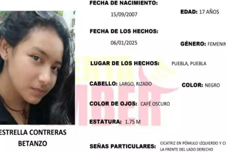 desaparecida flor del bosque puebla estrella betanzo