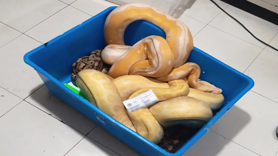 WhatsApp Image 2026-02-19 at 12..jpg