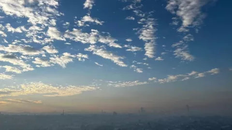 Texto del párrafo - 2025-05-05T163719.069.jpg