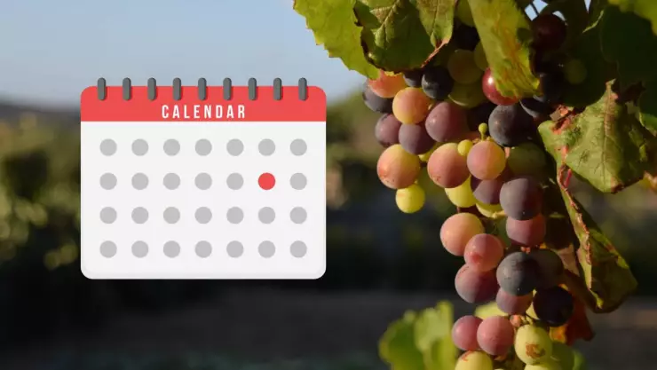 Fin de las fiestas de la vendimia